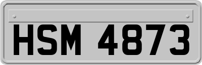 HSM4873