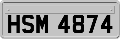 HSM4874