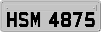 HSM4875