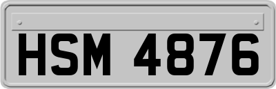 HSM4876