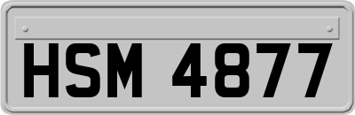 HSM4877