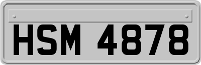 HSM4878