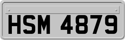HSM4879