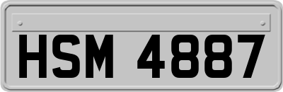 HSM4887