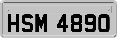 HSM4890