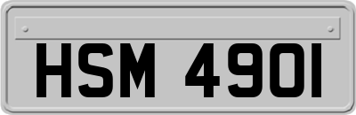 HSM4901
