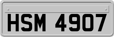 HSM4907
