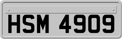 HSM4909