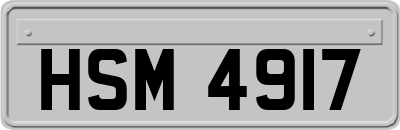 HSM4917