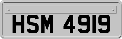 HSM4919