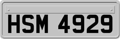 HSM4929