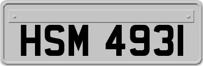 HSM4931