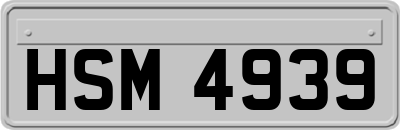 HSM4939
