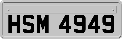HSM4949