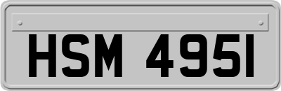 HSM4951