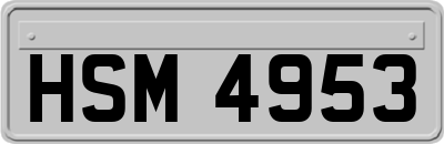 HSM4953