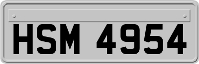 HSM4954