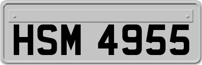 HSM4955