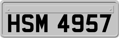 HSM4957