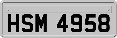 HSM4958