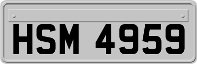 HSM4959