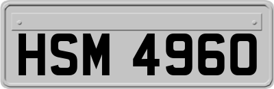 HSM4960
