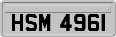 HSM4961
