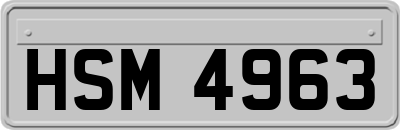 HSM4963