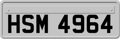 HSM4964