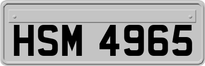 HSM4965