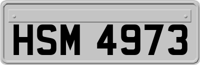 HSM4973
