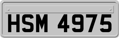 HSM4975