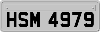 HSM4979