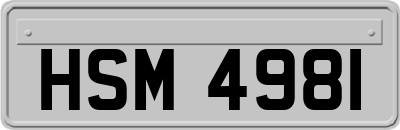 HSM4981