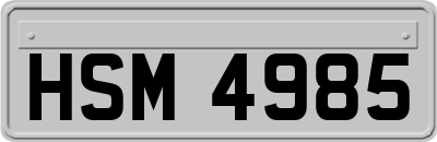 HSM4985