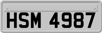 HSM4987