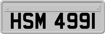 HSM4991