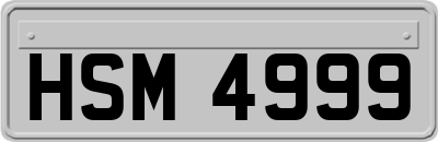 HSM4999