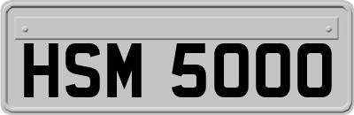 HSM5000