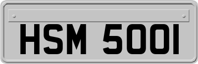 HSM5001