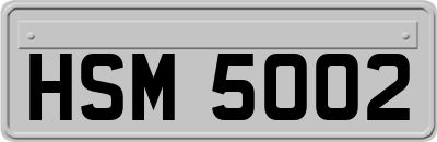 HSM5002