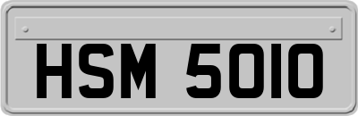 HSM5010