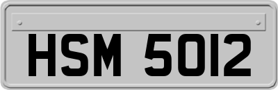 HSM5012