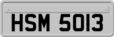 HSM5013