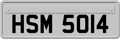 HSM5014