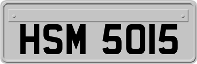 HSM5015