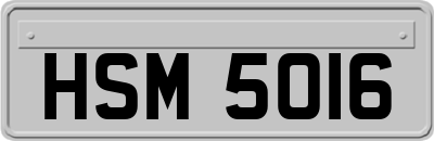 HSM5016