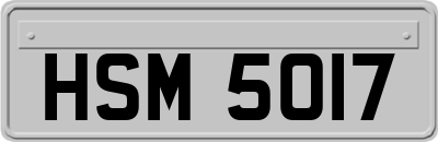 HSM5017