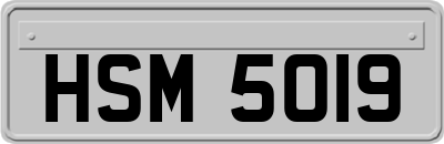 HSM5019
