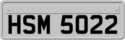 HSM5022